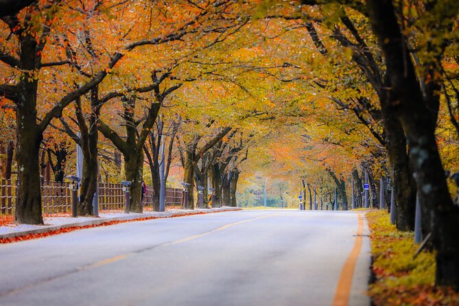 Breathtaking Autumn at Seoraksan National Park - Common questions