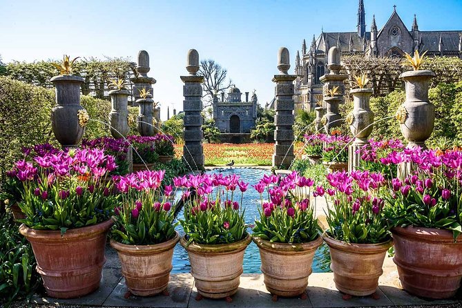 Brighton Arundel Castle and Petworth House by Executive Vehicle Private Tour - Health and Safety Measures