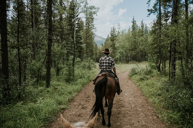 Buffalo Loop 1-Hour Horseback Trail Ride in Kananaskis - Customer Feedback Highlights