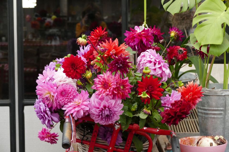 Bulb Region: Dahlias and Mills Bicycle Tour - Experience Highlights