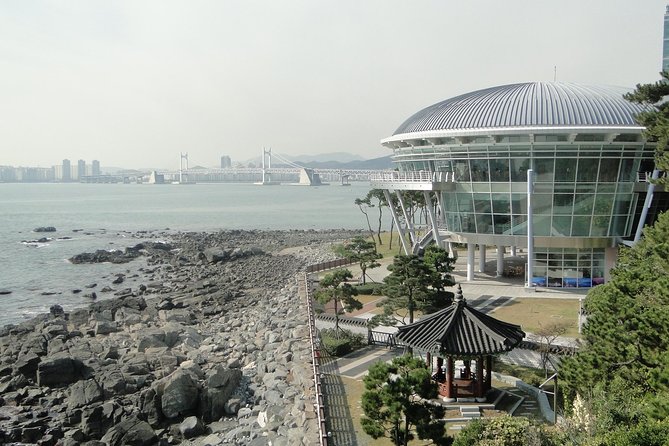 Busan City Tour Including Haedong Yonggungsa Temple And APEC House - Customer Reviews and Ratings