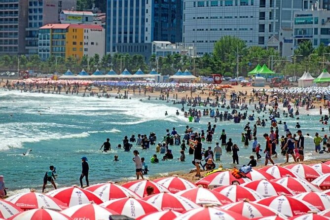 Busan Private Full-Day Sightseeing Tour With Custom Itinerary - Language Options and Mobile Ticketing