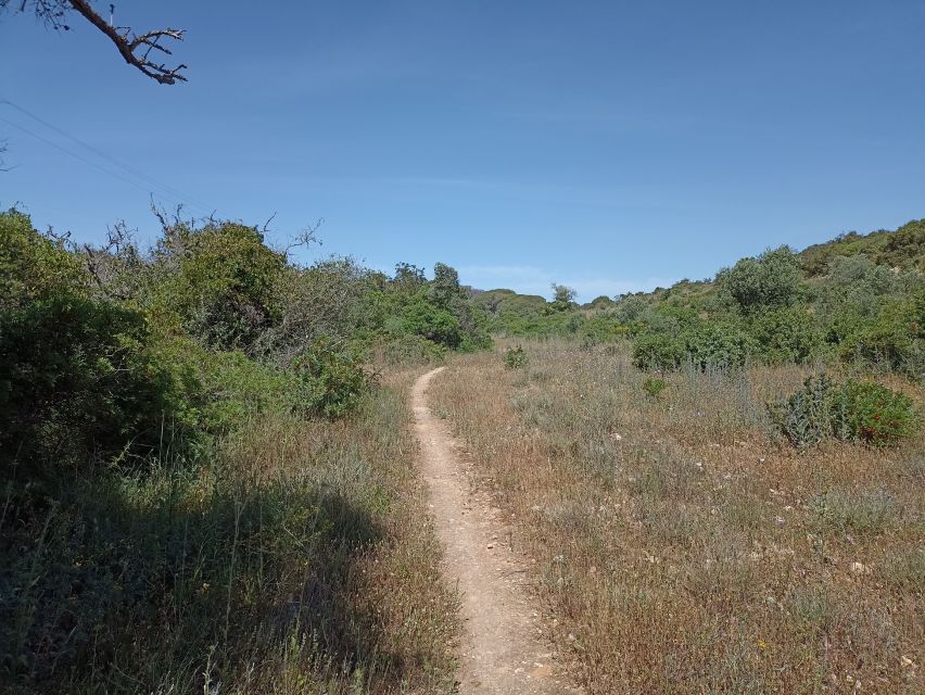 Bush Walk, Chimneys, and Wine - Return to Hotel Vila Galé Náutico