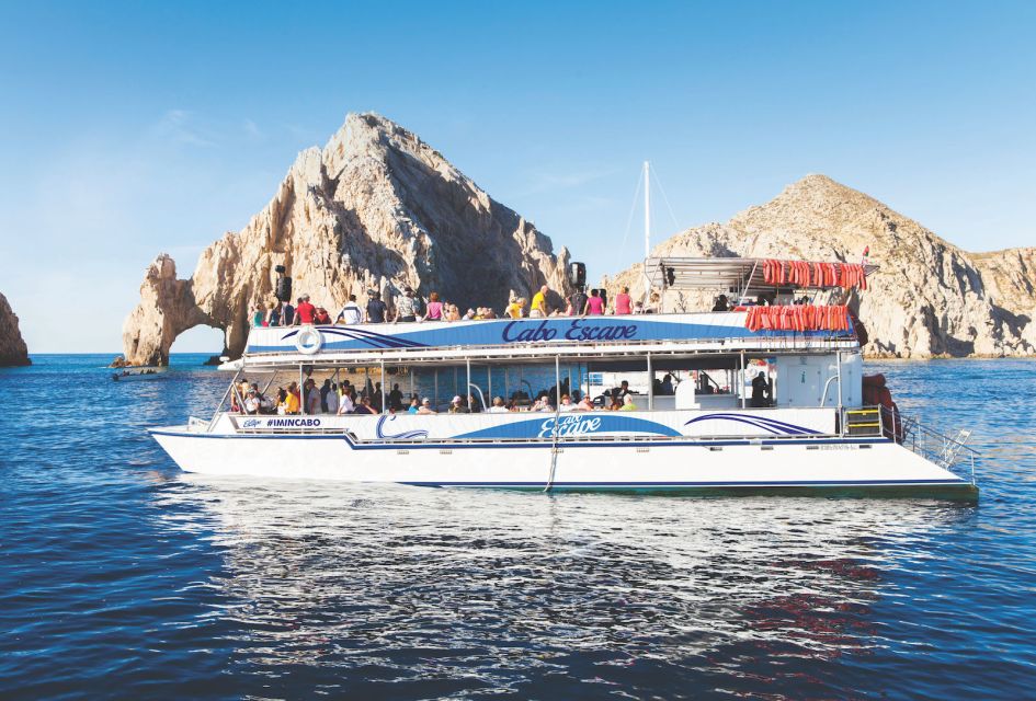 Cabo San Lucas: 3.5-Hour Snorkeling Tour - Customer Reviews and Ratings