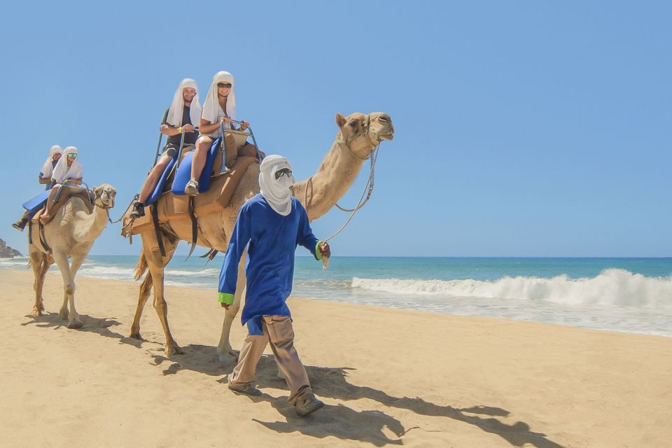 Cabo San Lucas: Camel Safari Tour With Lunch and Tequila - Guest Reviews