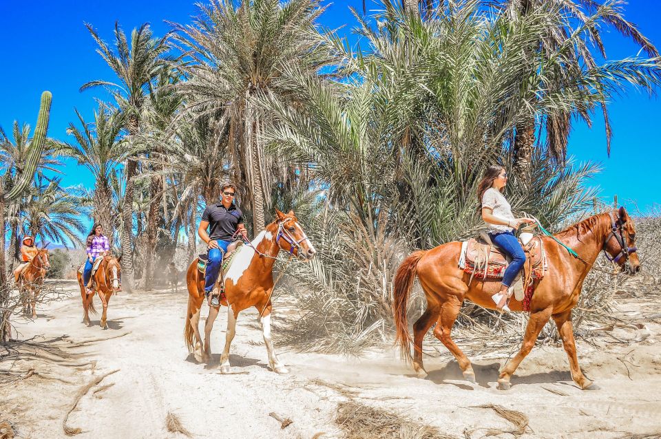 Cabo San Lucas: Horseback Riding Migriño - Common questions