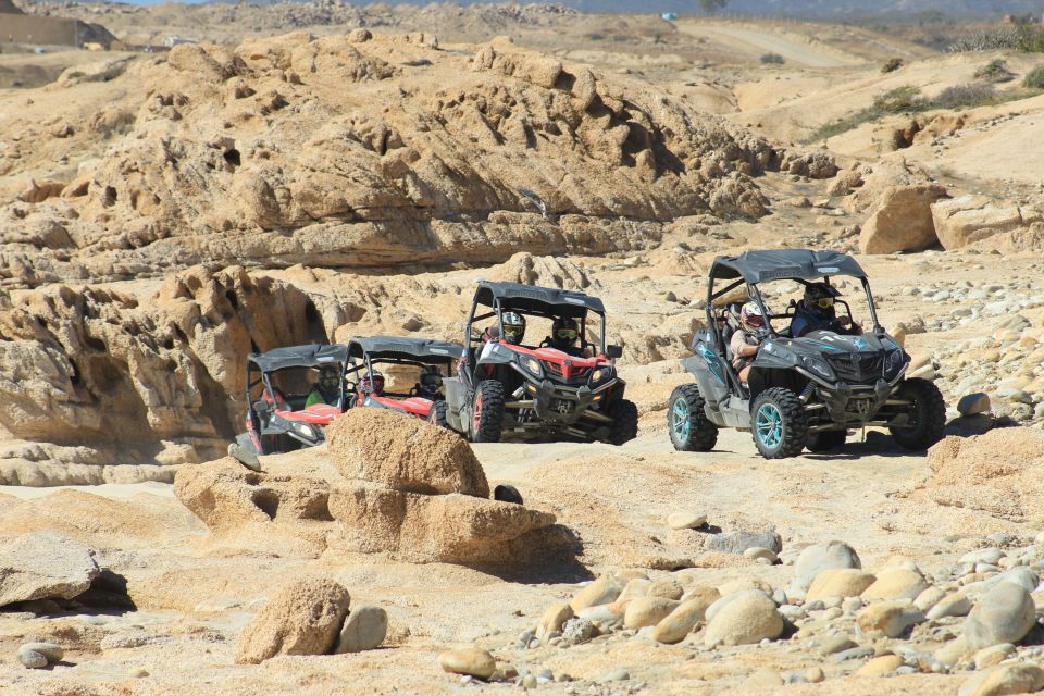 Cabo San Lucas Off-Road UTV Driving Experience - Customer Reviews