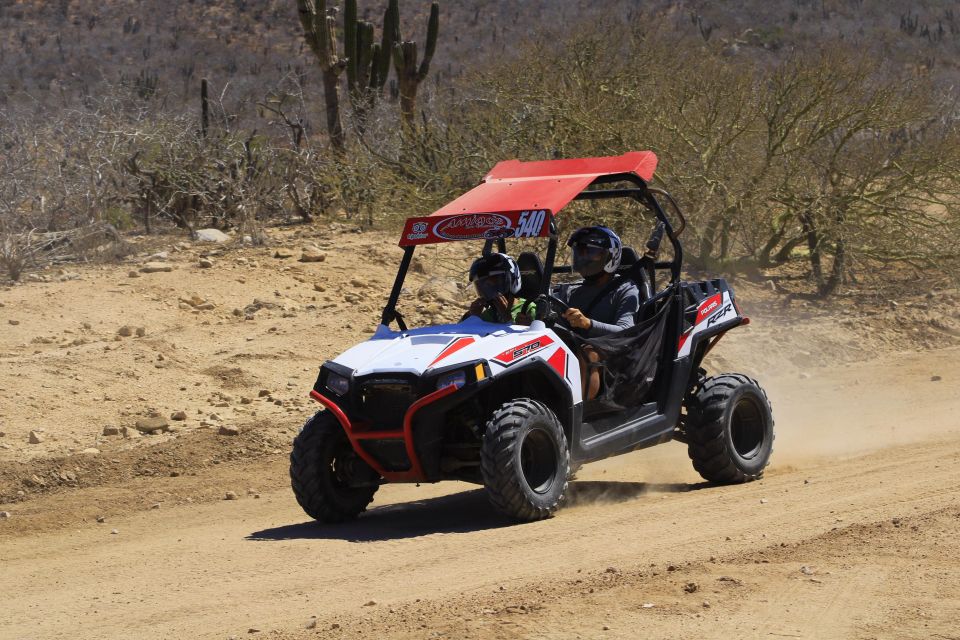 Cabo San Lucas: UTV Excursion on the Beach and in the Desert - Activity Details