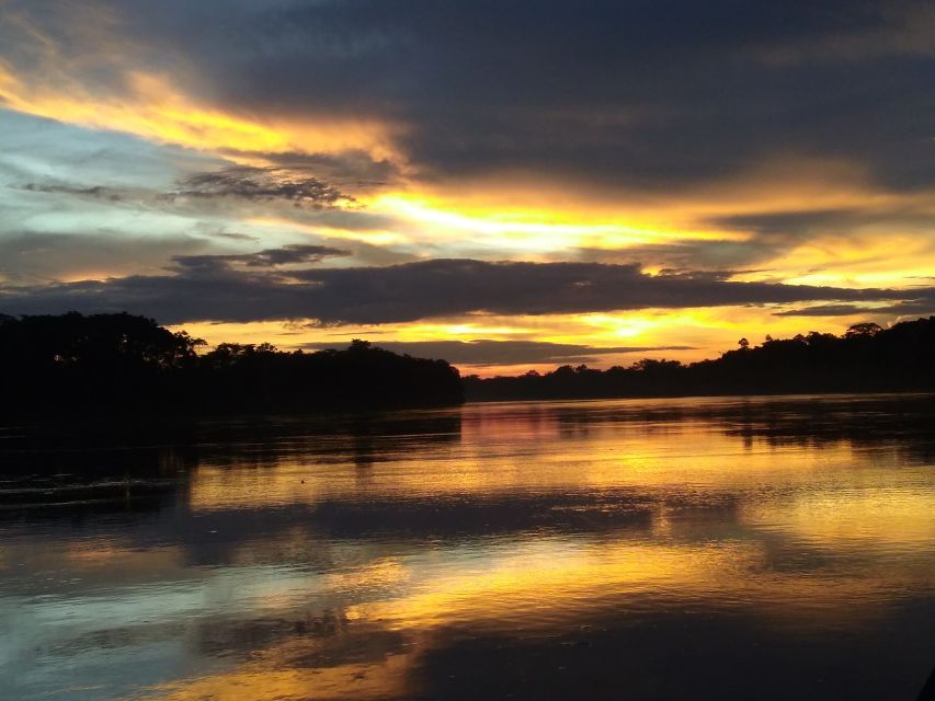 Caimans and Capibara Search on the Tambopata River - Traveler Feedback