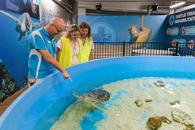 Cairns Aquarium General Admission and Turtle Hospital Tour - Importance of Ticket Proceeds