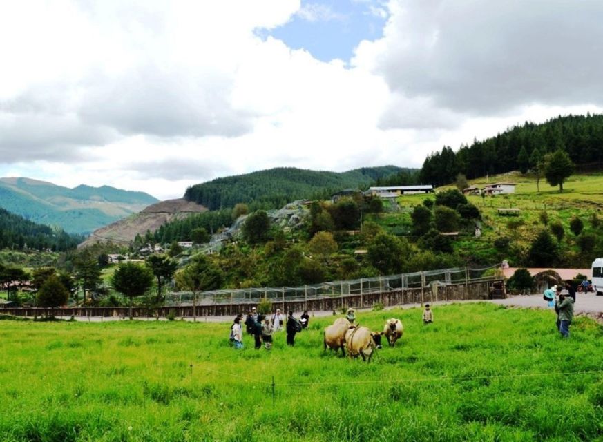 Cajamarca Porcón Farm and Otuzco - Additional Information