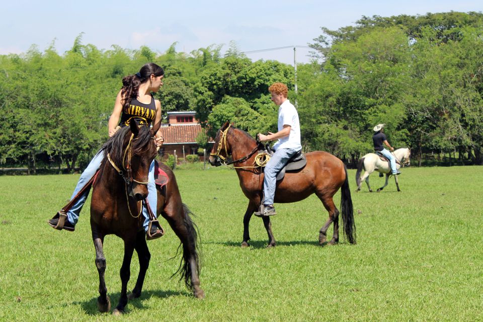 Cali: Horseback Riding - Recommendations