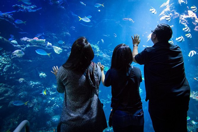 California Academy of Sciences NightLife Admission Ticket - Highlights of the Museum and Visitor Feedback