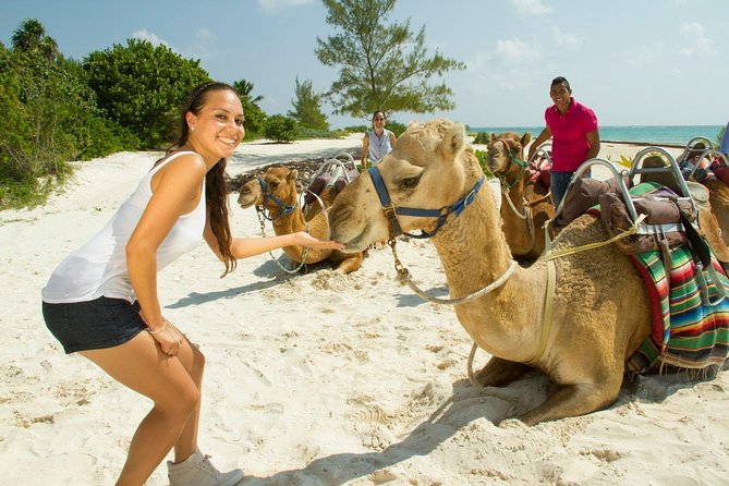 Camel Caravan Expedition and Beach Club With Transportation in Riviera Maya - Experience Highlights