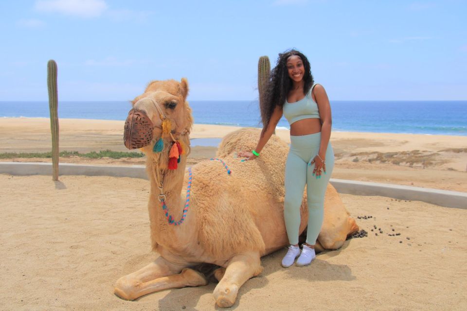 Camel Ride Beach and Desert Adventure. - Safety Measures