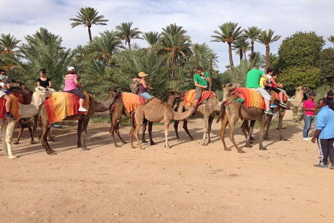 Camel Ride in Marrakech Palm Grove - Additional Tips and Recommendations