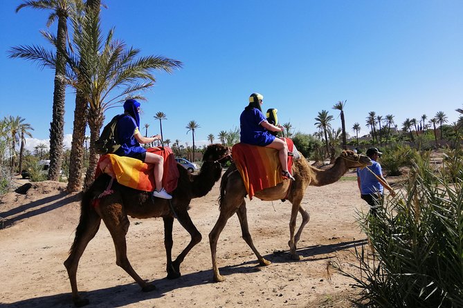 Camel Ride in Palm Groves With Tea Break - Last Words