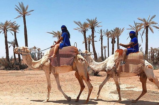 Camel Ride in the Village Berber Palmeraie - Price and General Information