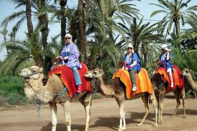 Camel Ride Marrakech - Common questions