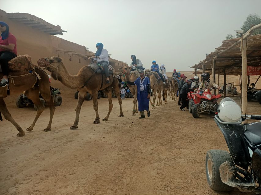 Camel Ride & Quad Tour In Agafay Desert With Lunch - Tour Inclusions