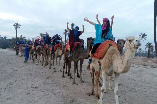 Camel Riding in Marrakech - Pricing and Product Code