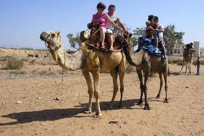 Camel Riding - Camel Riding Etiquette