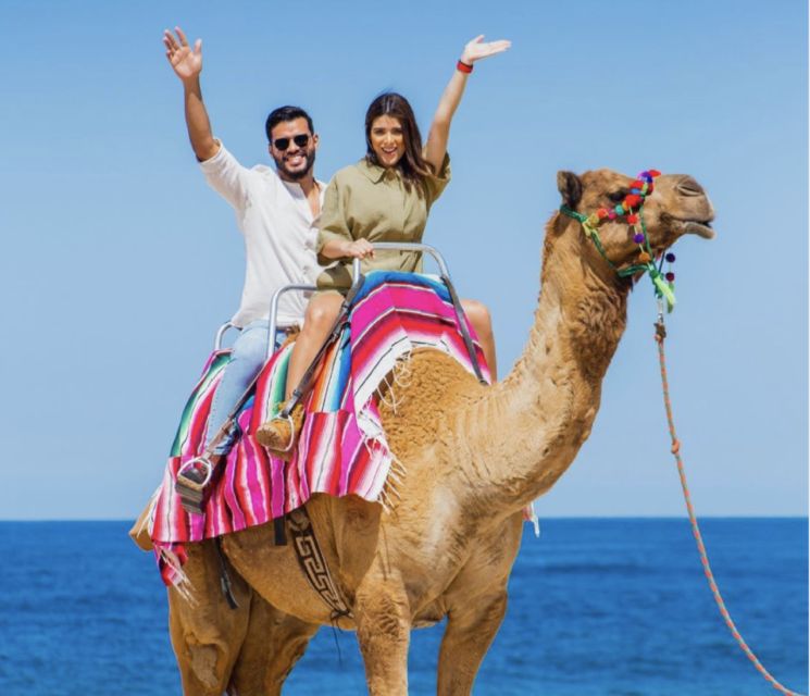 Camel Safari Adventure With Tacos - Pickup Instructions