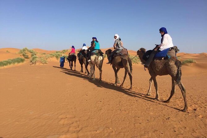 Camel Trek With 1 Night in Luxury Camp With Dinner Sundbording - Common questions