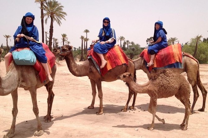 Camel Trekking Through Marrakeshs Palm Grove - Pickup Information