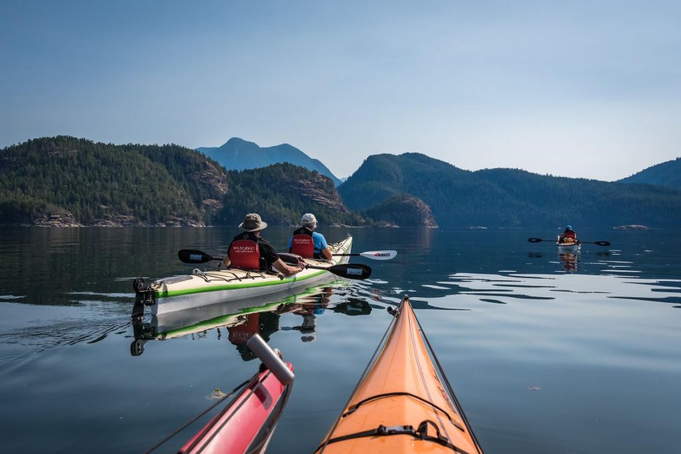 Campbell River: Kayaking and Whale Watching Tour - Common questions