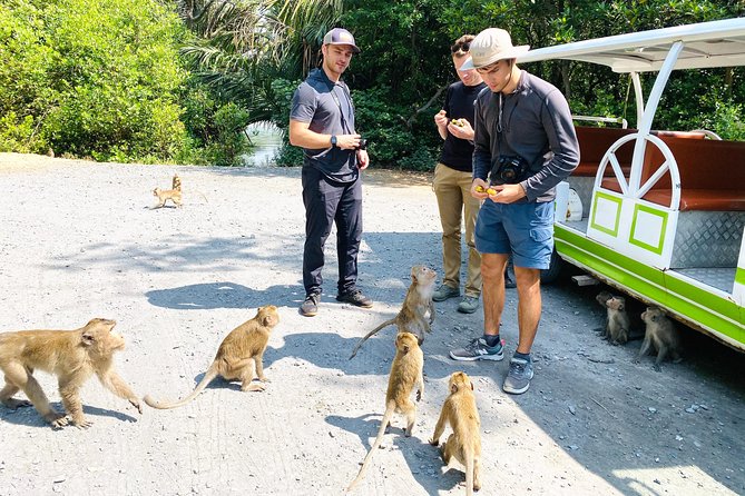 Can Gio Mangrove Biosphere Reserve by Premier Speed Boat - Wildlife Encounters