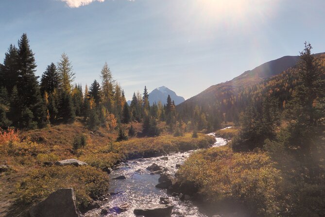 Canadian Rockies Hiking Adventure in Kananaskis Provincial Park - Common questions