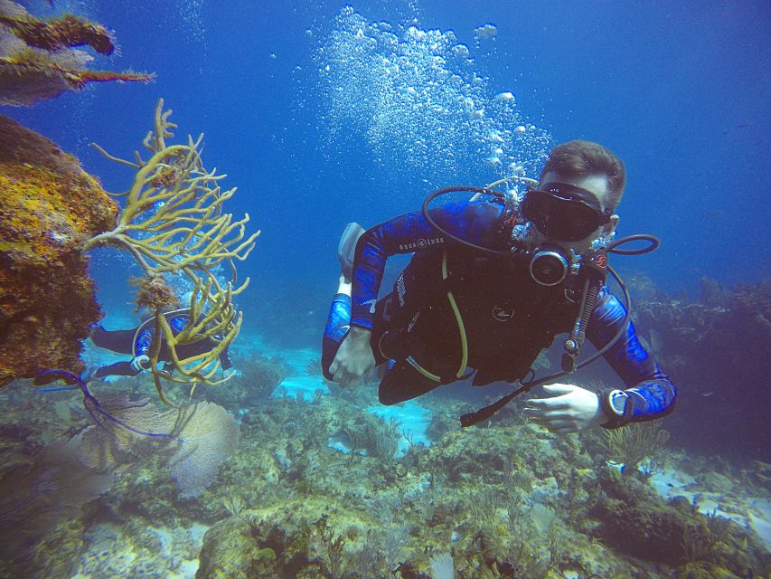 Cancun: 2 Days SDI Open Water Diver Certification - Location & Marina Details