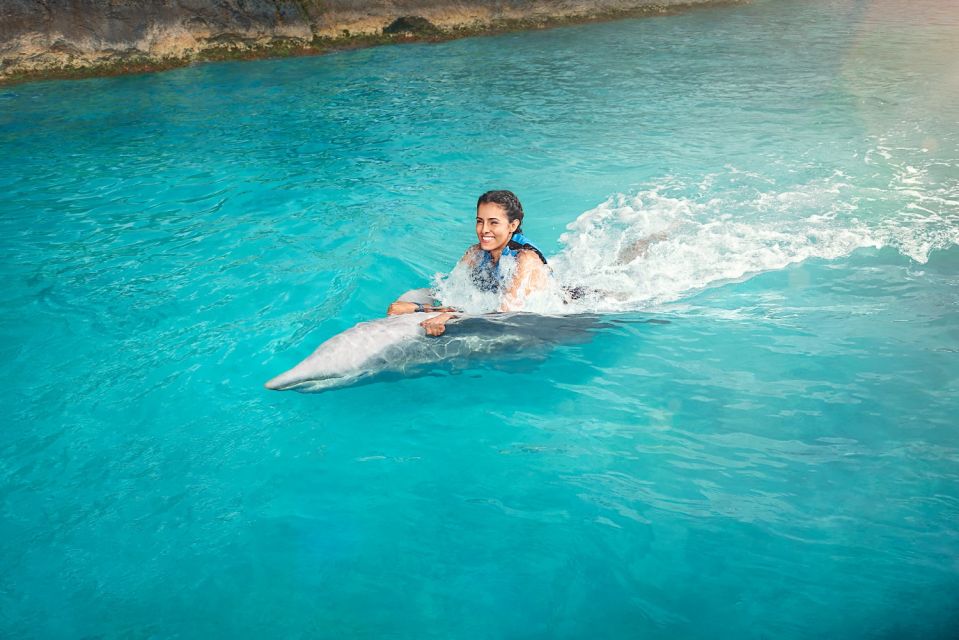 Cancún: Dolphin Swimming Program on Isla Mujeres With Buffet - Location and Ratings