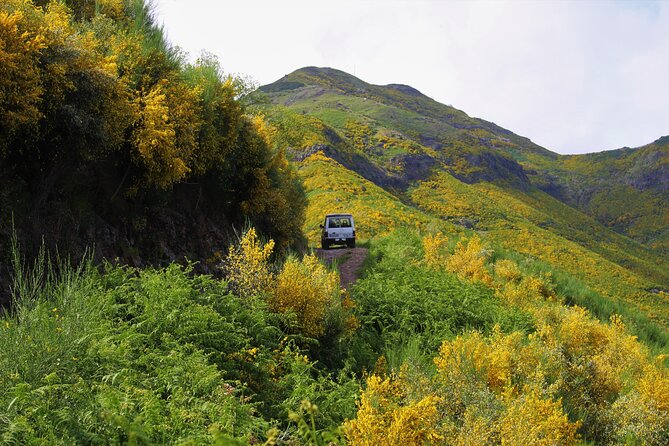 Canico Private Full-Day Choose Your Own Adventure Tour  - Funchal - Tour Details