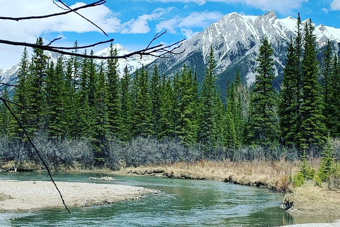 Canmore Wildlife Safari Drive and Walk in the Rocky Mountains - Directions and Activity Guidelines