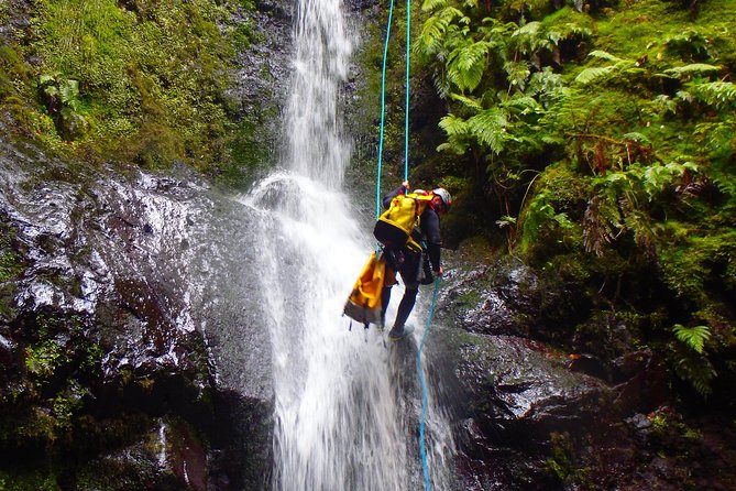 Canyoning Madeira Island - Level Two - Booking, Pricing, and Availability