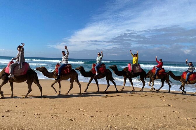 Cap Startel and Camel Ride in Achakkar Beach at Sunset With BBQ - Legalities and Booking Guidelines