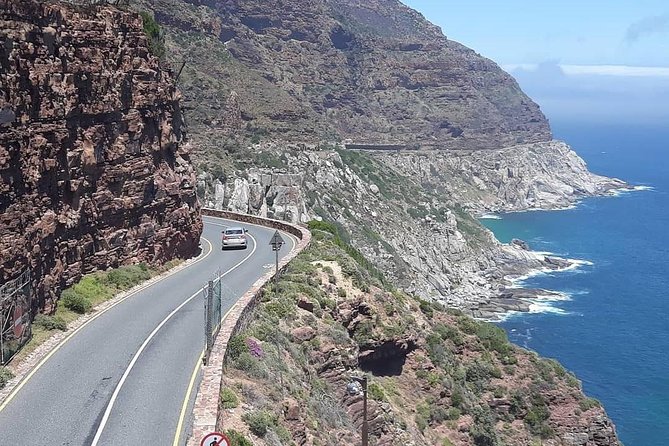 Cape Point, Boulders Beach in Private Car - Guide Information