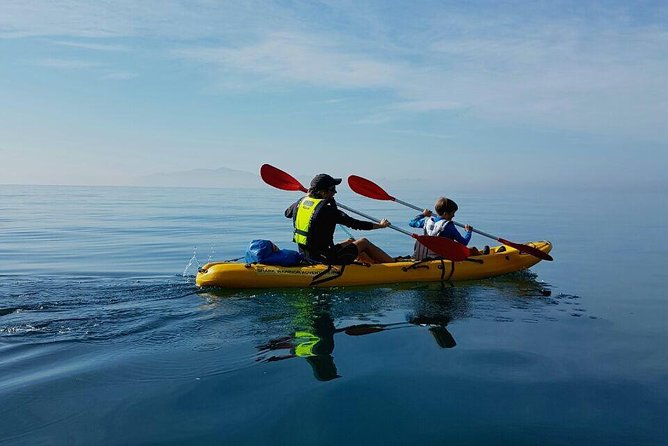 Cape Town: Sea Kayaking Near Penguins Tour - End Point Details