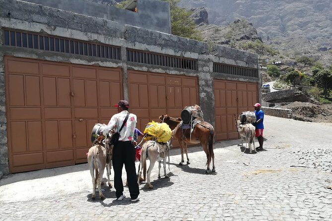 Cape Verde: Best Trails of Santiago and Fogo Islands - Insider Tips for Hiking Success