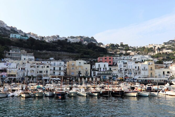 Capri and Anacapri With Blue Grotto Visit All Inclusive - Transportation and Guide Information