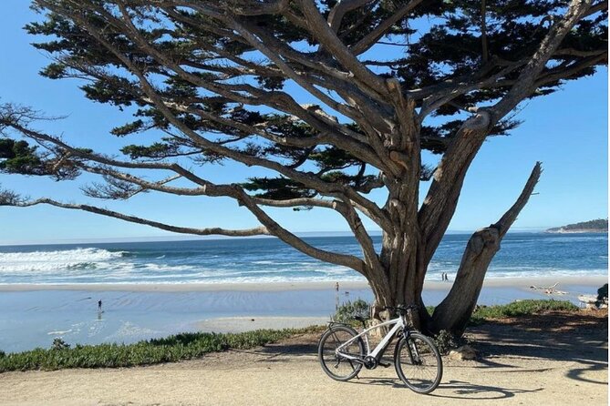 Carmel Small-Group E-Bike Tour  - Monterey & Carmel - Copyright and Legal Information
