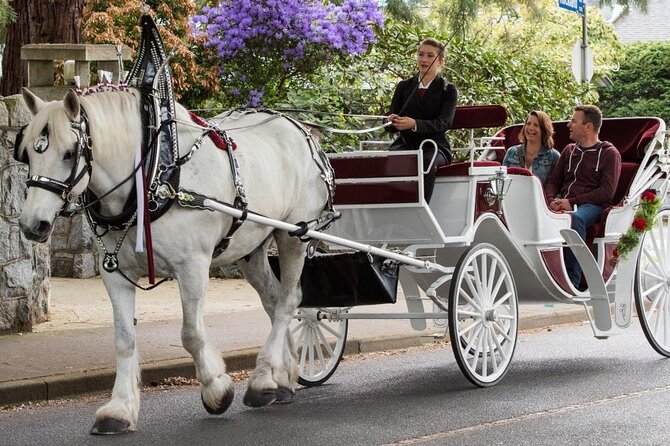 Carriage Ride in Central Park (VIP - PRIVATE) Since 1964 - Customer Satisfaction and Reviews