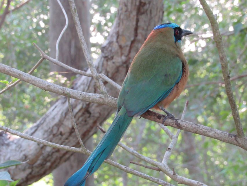 Cartagena: Private Bird-Watching Tour With Breakfast - Transportation Information