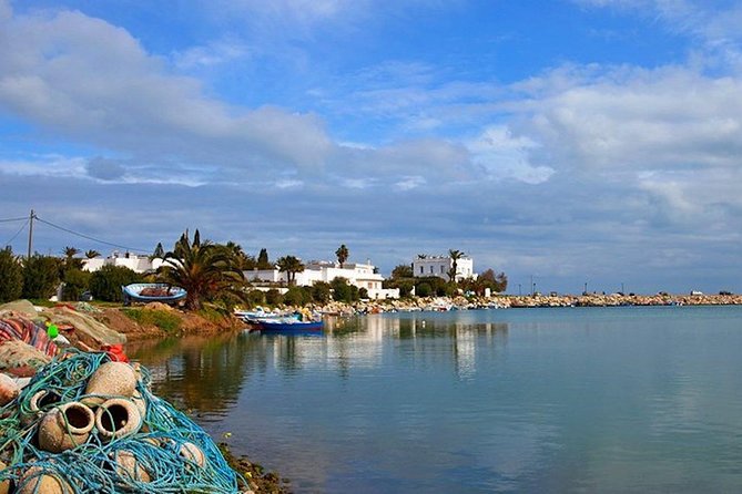 Carthage Discovery Half-Day Tour From Tunis or Hammamet - Common questions