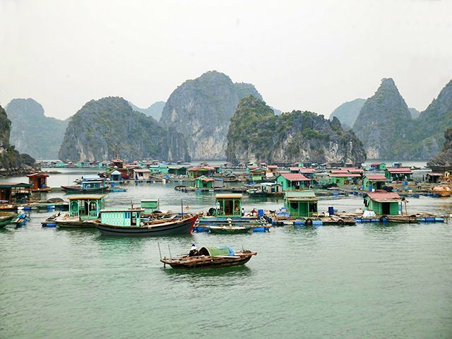 Cat Ba Island Day Trip From Ha Long City - Additional Tips for Your Trip