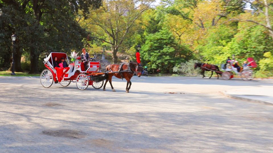 Central Park: Short Horse Carriage Ride (Up to 4 Adults) - Common questions