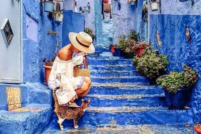 Chefchaouen Day Trip! The Blue City (Private Tour) - Customer Reviews