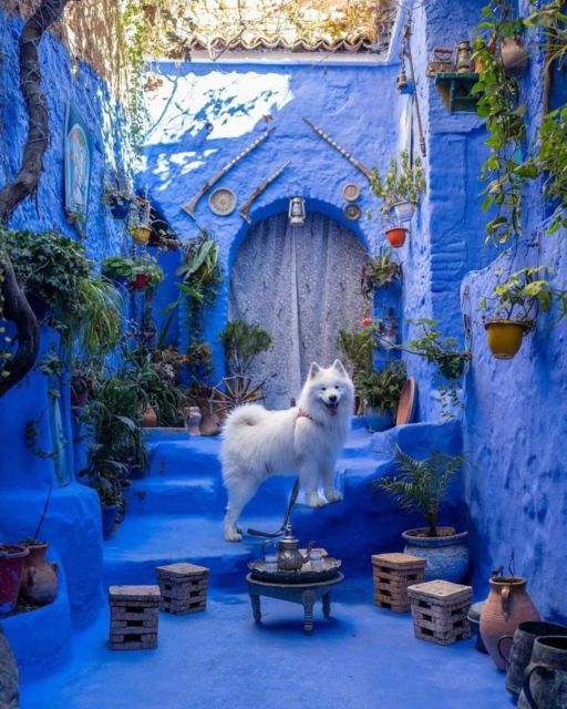 Chefchaouen Day Trip With Small Group - Directions